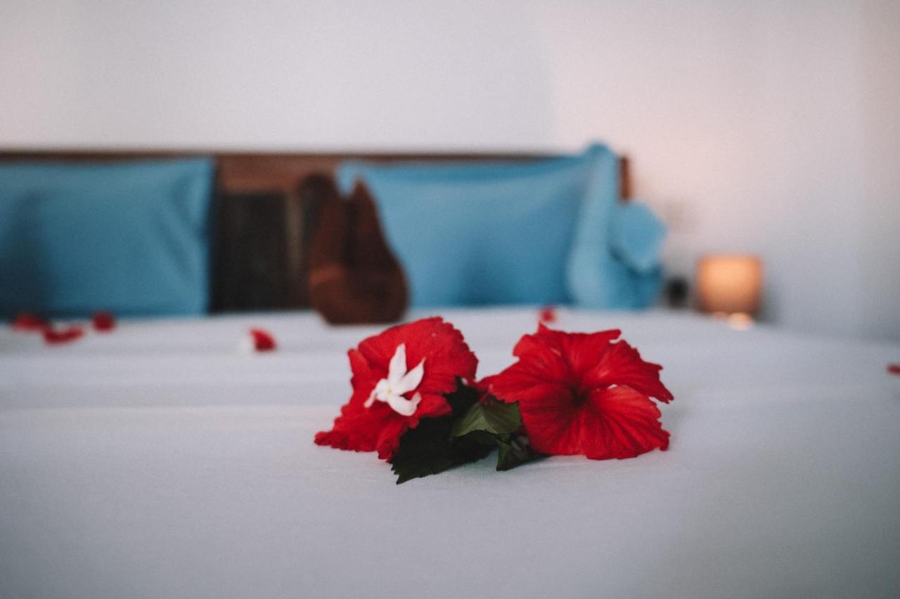 نونغوي Zima Lodge المظهر الخارجي الصورة